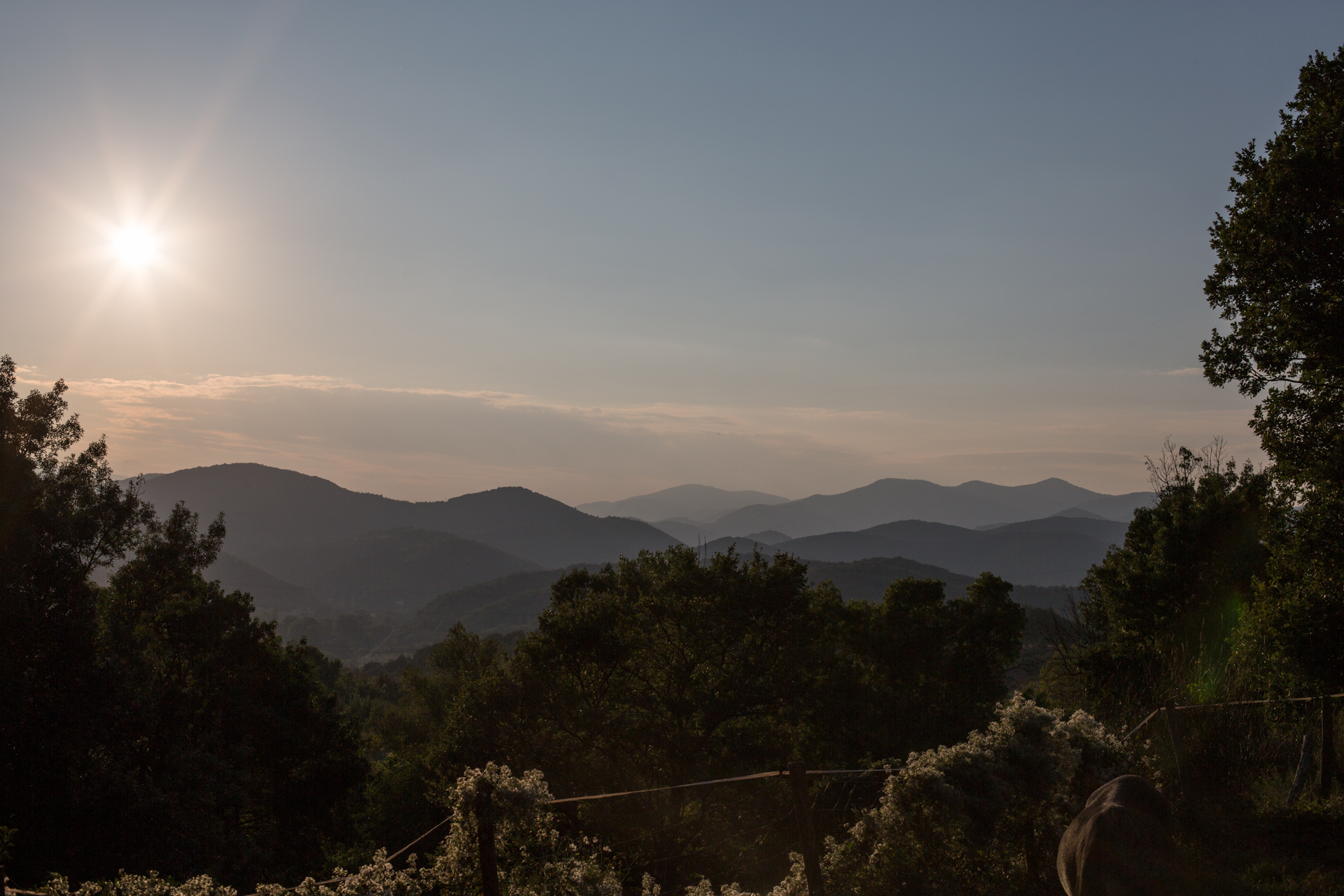 Randonnée avec des ânes Hérault