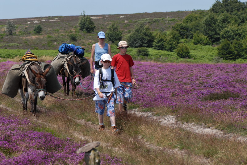 Randonnée ânes bivouac