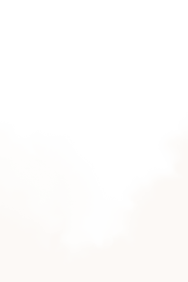 Âne en randonnée dans les massifs du haut languedoc